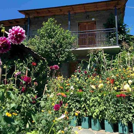 Guesthouse Gouris Tsepelovo Buitenkant foto