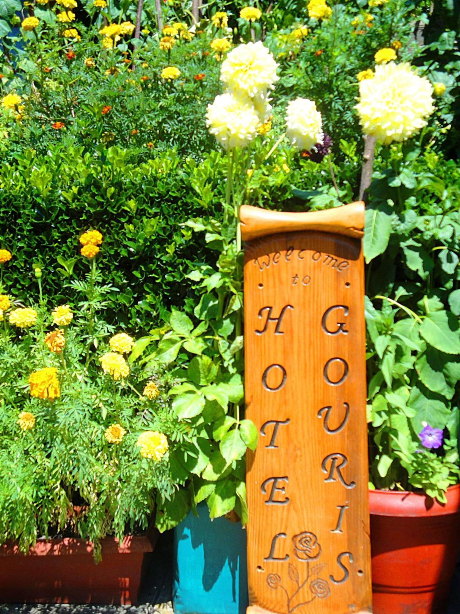 Guesthouse Gouris Tsepelovo Buitenkant foto