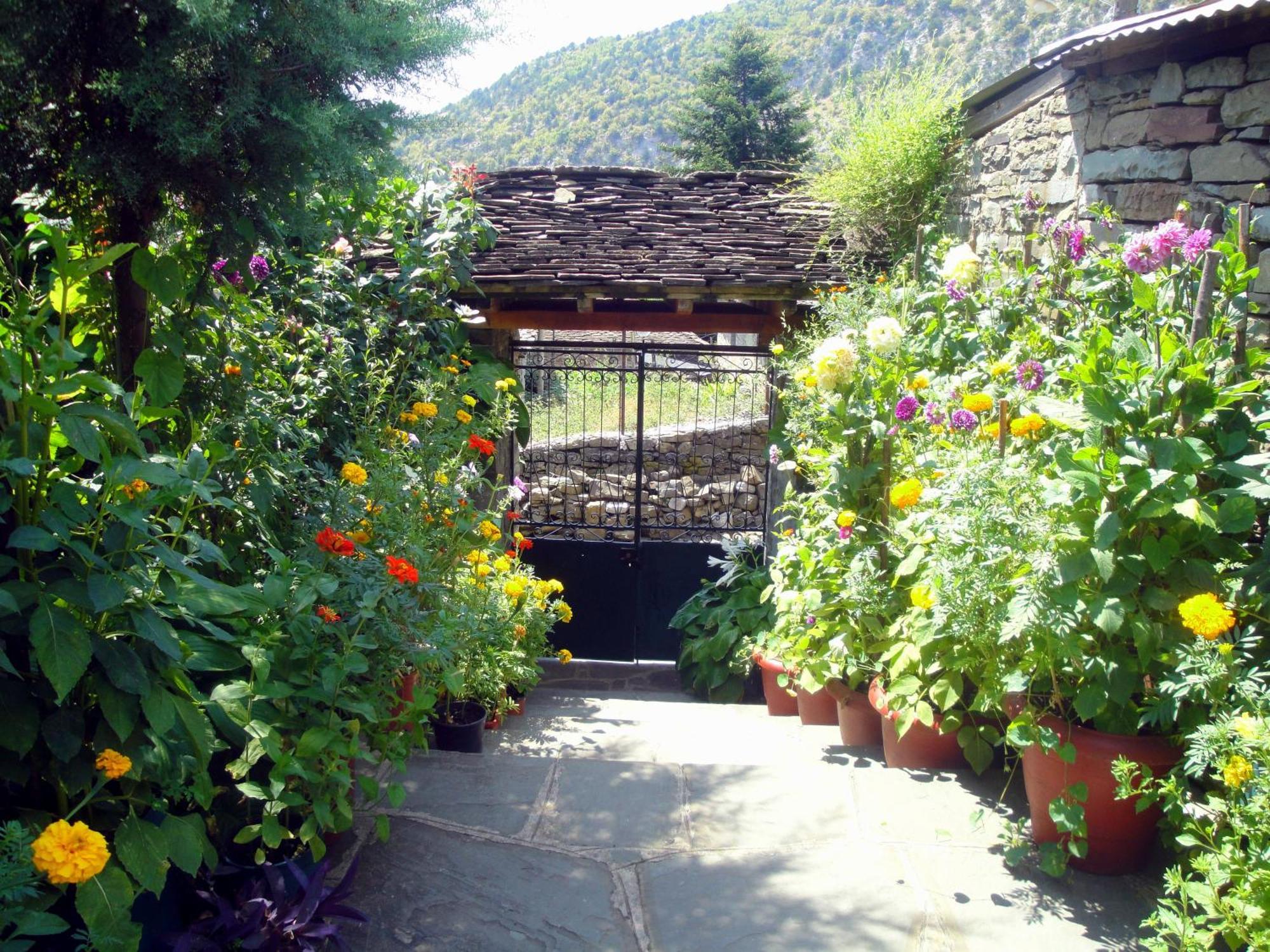Guesthouse Gouris Tsepelovo Buitenkant foto