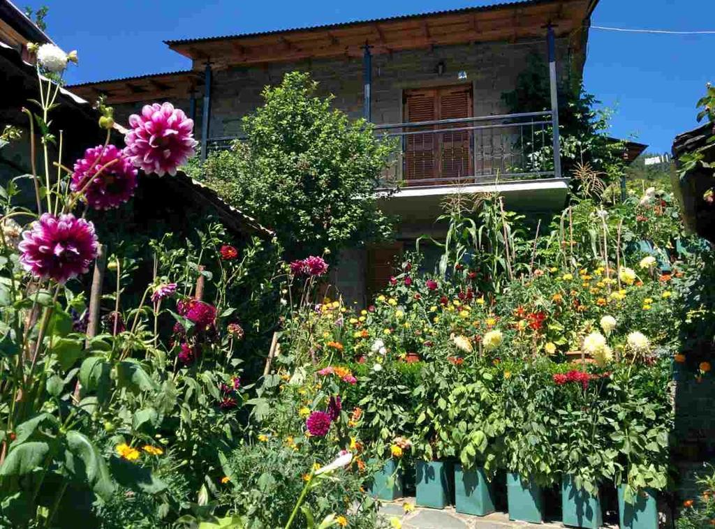 Guesthouse Gouris Tsepelovo Buitenkant foto