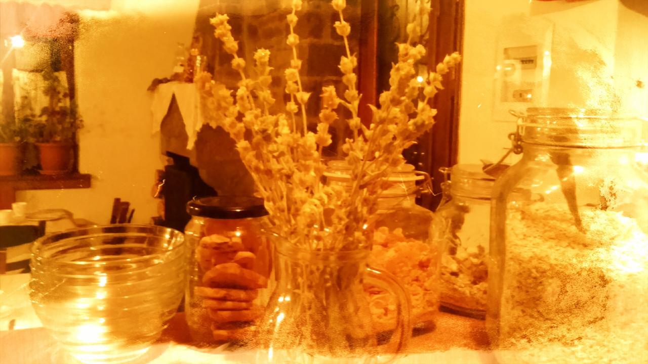 Guesthouse Gouris Tsepelovo Buitenkant foto