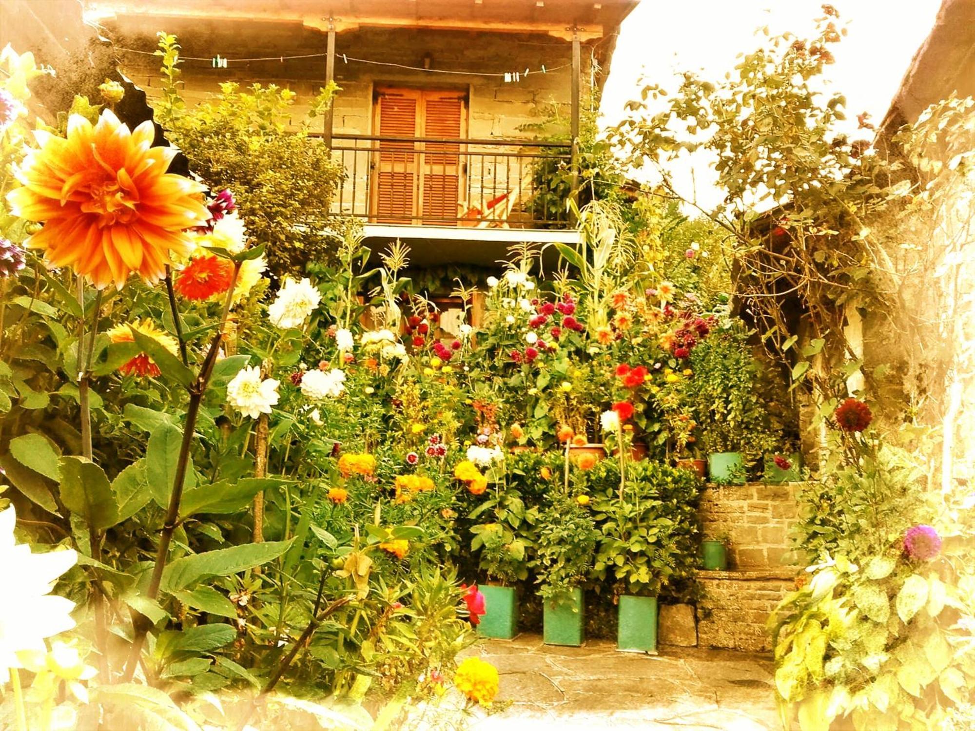 Guesthouse Gouris Tsepelovo Buitenkant foto
