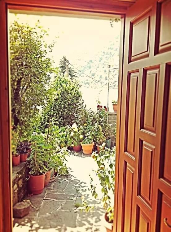 Guesthouse Gouris Tsepelovo Buitenkant foto